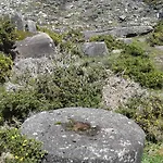 Charme Da Montanha Hébergement de vacances Montaria