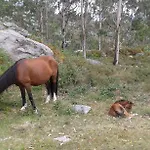 Hébergement de vacances Charme Da Montanha *