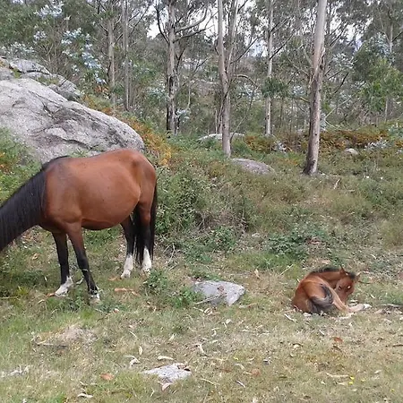 בית נופש Charme Da Montanha *