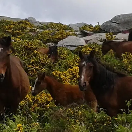 בית נופש Charme Da Montanha *