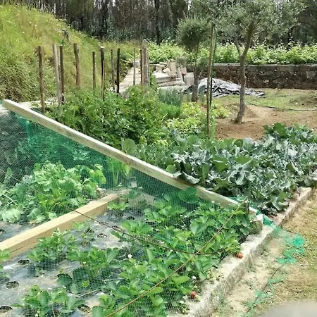 Charme Da Montanha Montaria