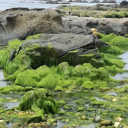 Charme Da Montanha *