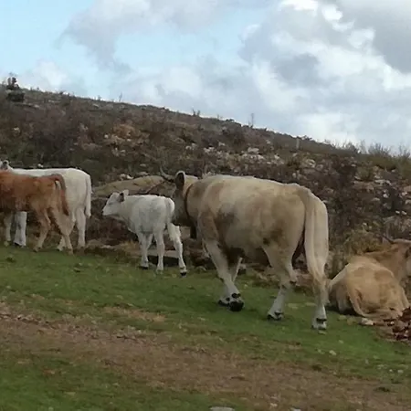 Charme Da Montanha בית נופש *