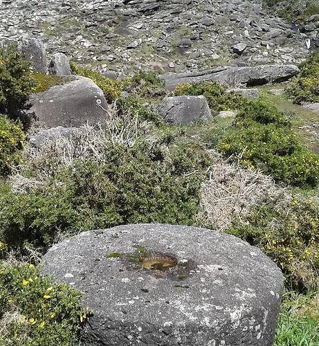 Charme Da Montanha بيت للعطل Montaria