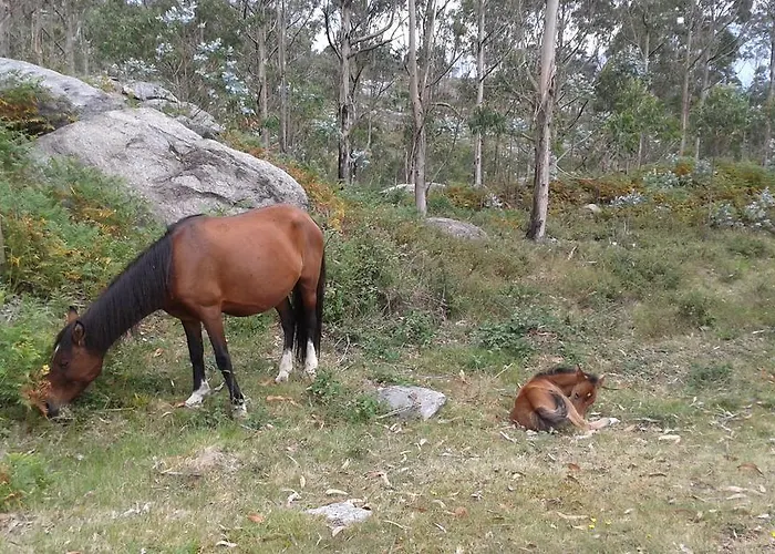 بيت للعطل Charme Da Montanha *