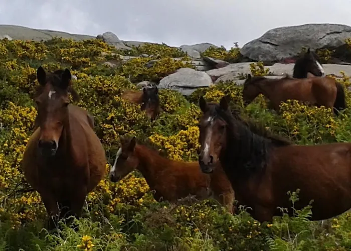 بيت للعطل Charme Da Montanha *