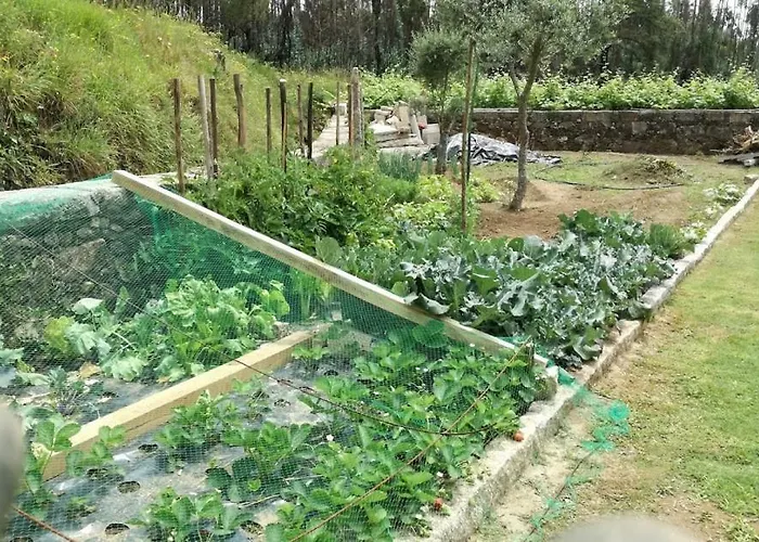 Charme Da Montanha Montaria