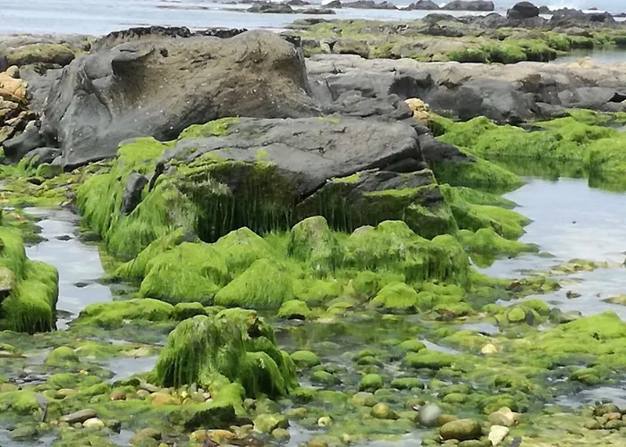 Charme Da Montanha *