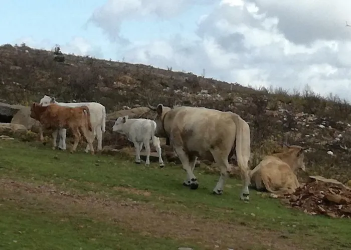 Charme Da Montanha בית נופש *